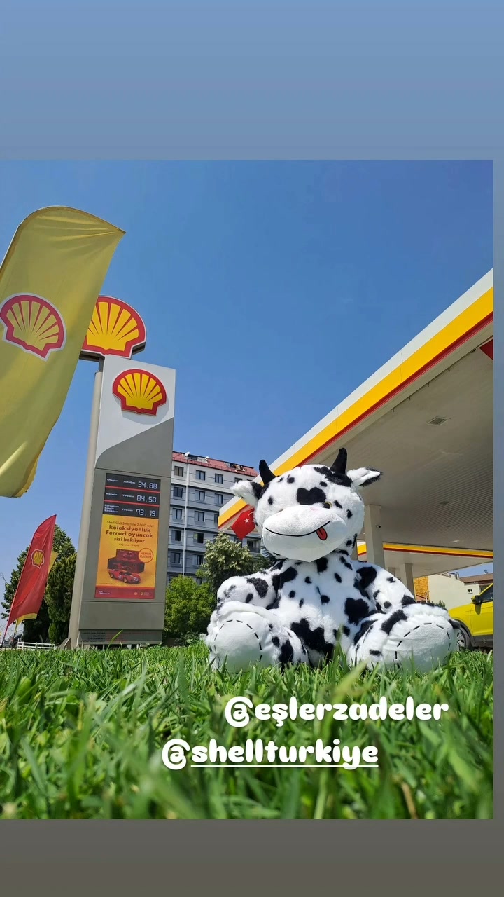 Eşlerzadeler Petrol